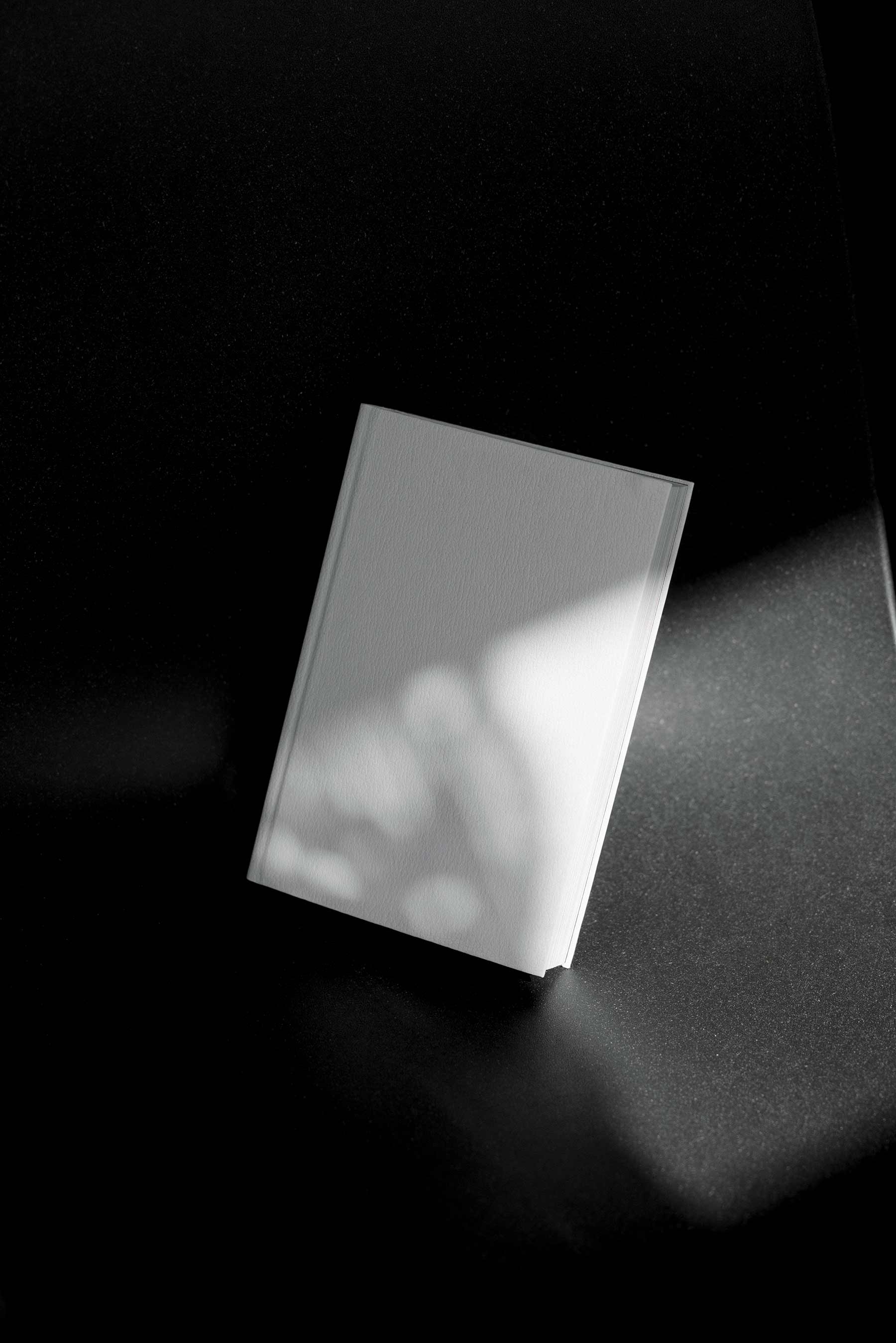 BOOK-MOCKUP-08 - Image 2