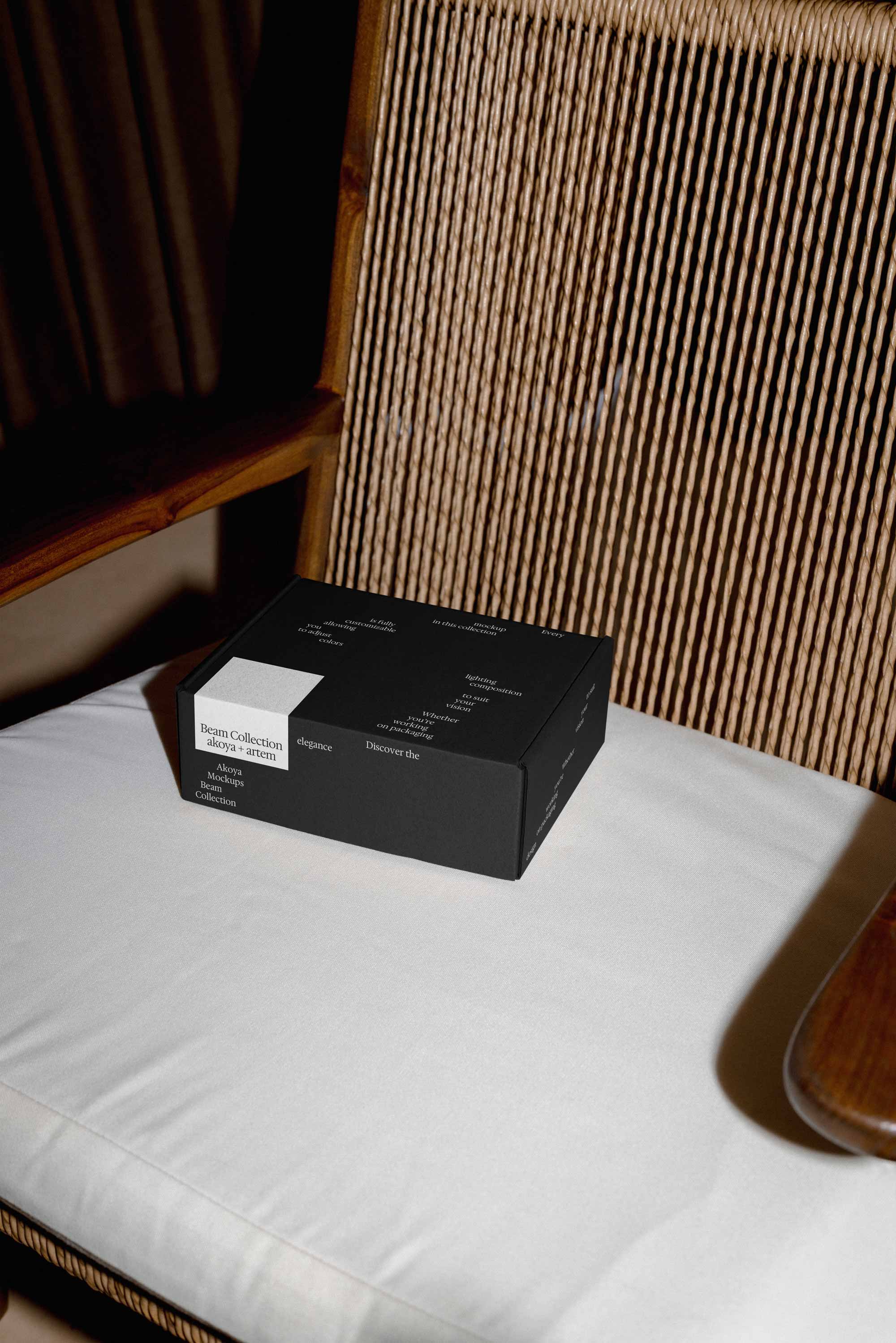 BOX-MOCKUP-04