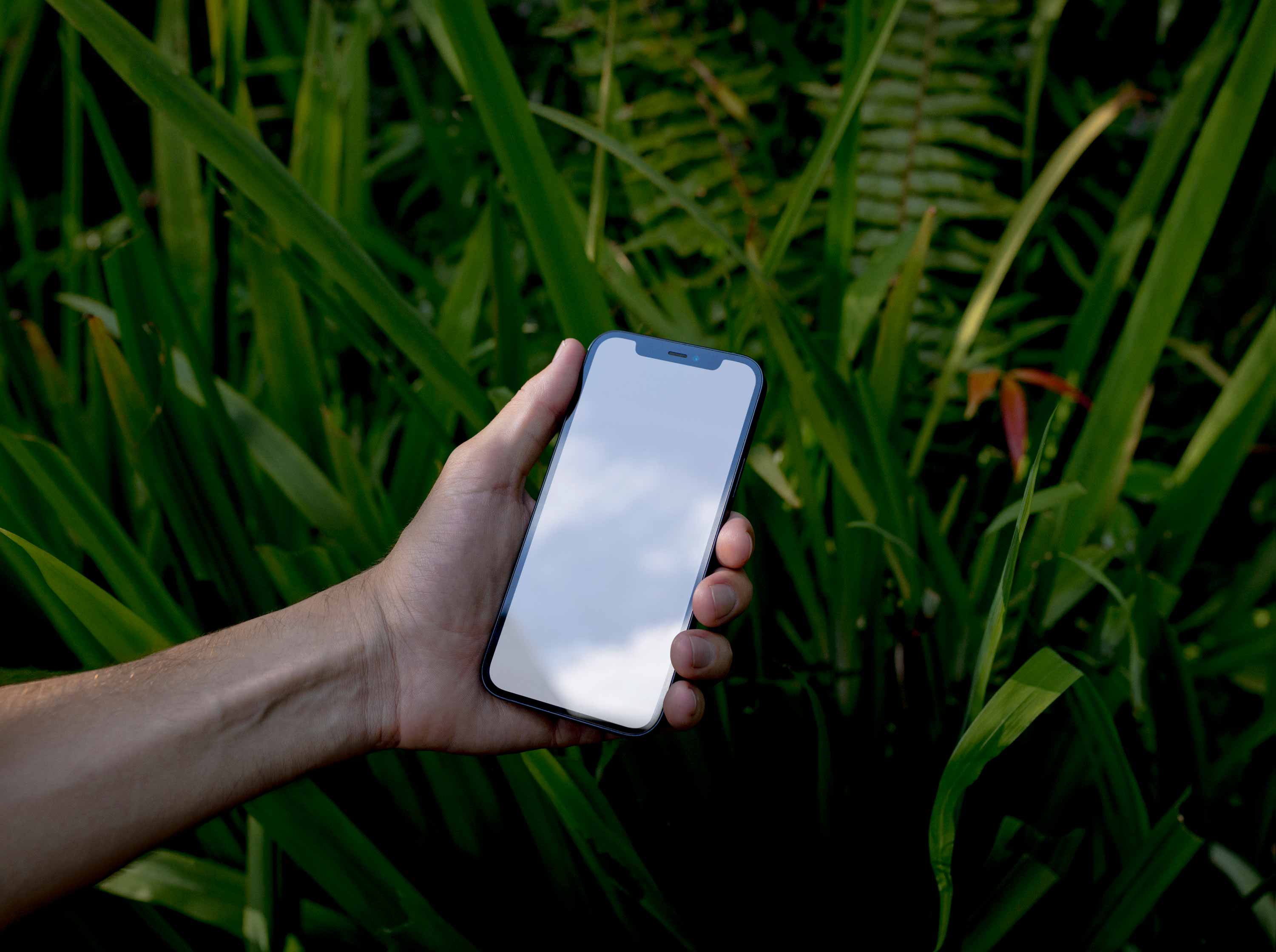 IPHONE-MOCKUP-024 - Image 3