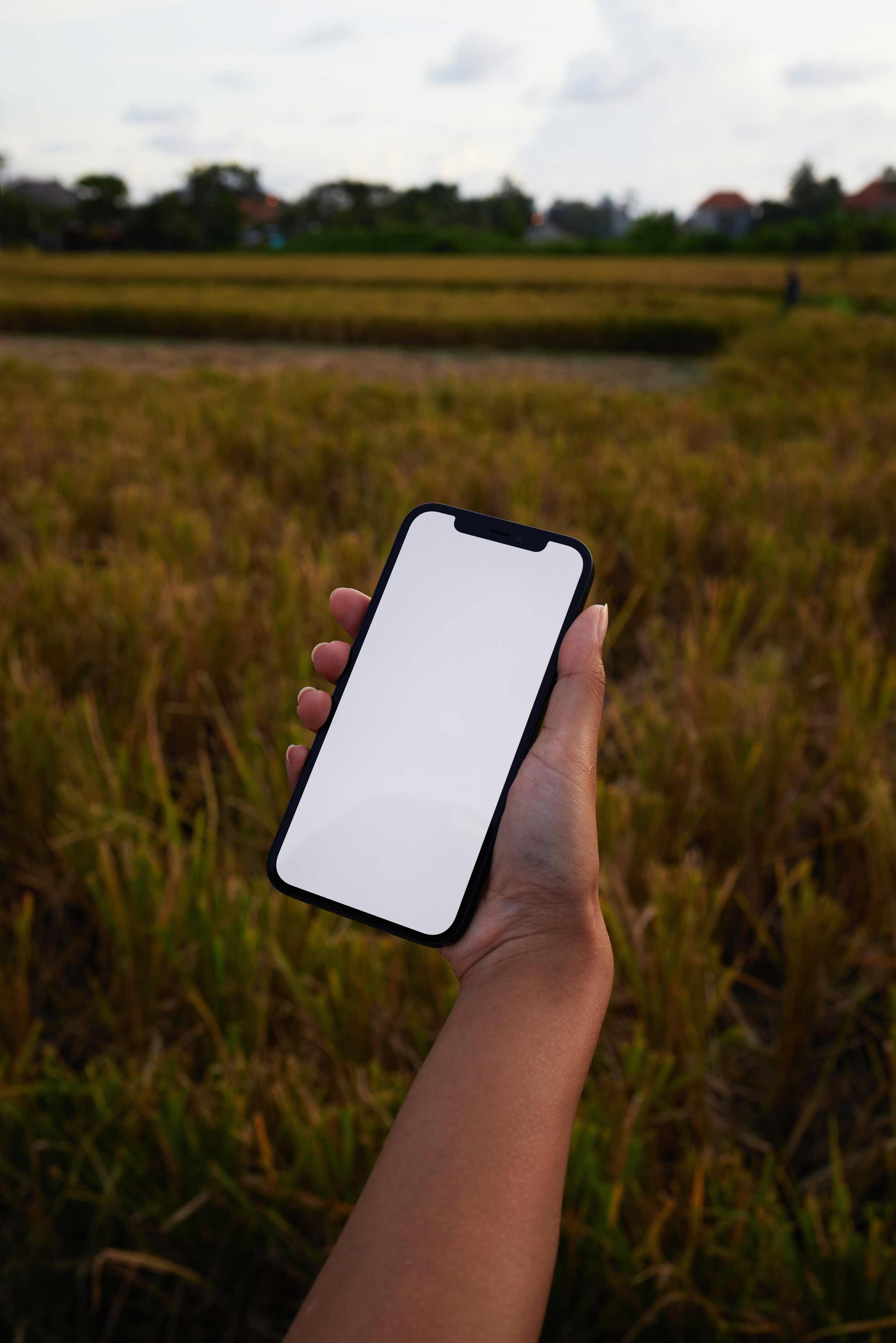 IPHONE-MOCKUP-08 - Image 2